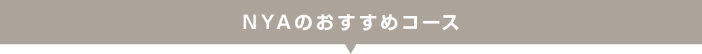 NYAおすすめのコース
