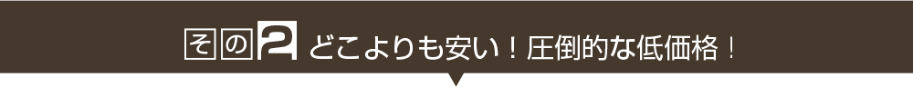 その２　どこよりも安い！圧倒的低価格！