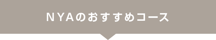 NYAおすすめのコース